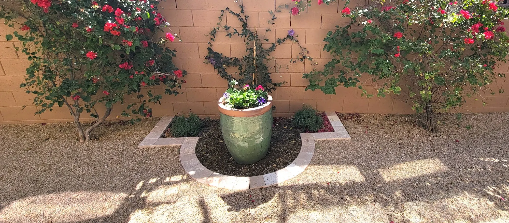 Las Sendas finished curved planter with green pot
