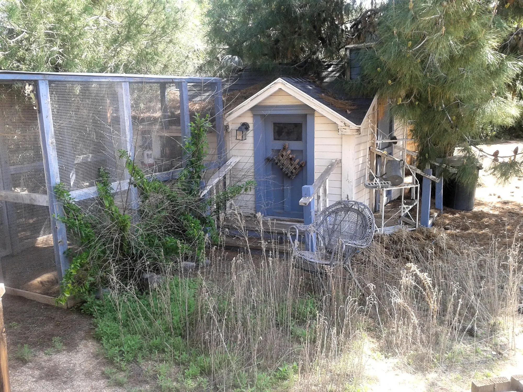 Paradise Valley French Garden chicken coop before the renovation