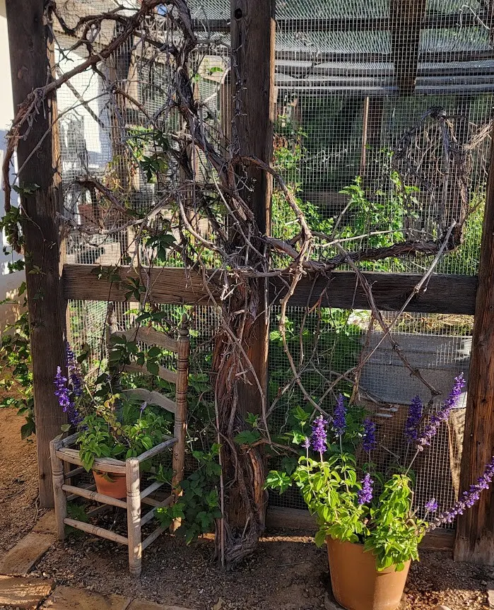 Garden accents at the Paradise Valley French Garden