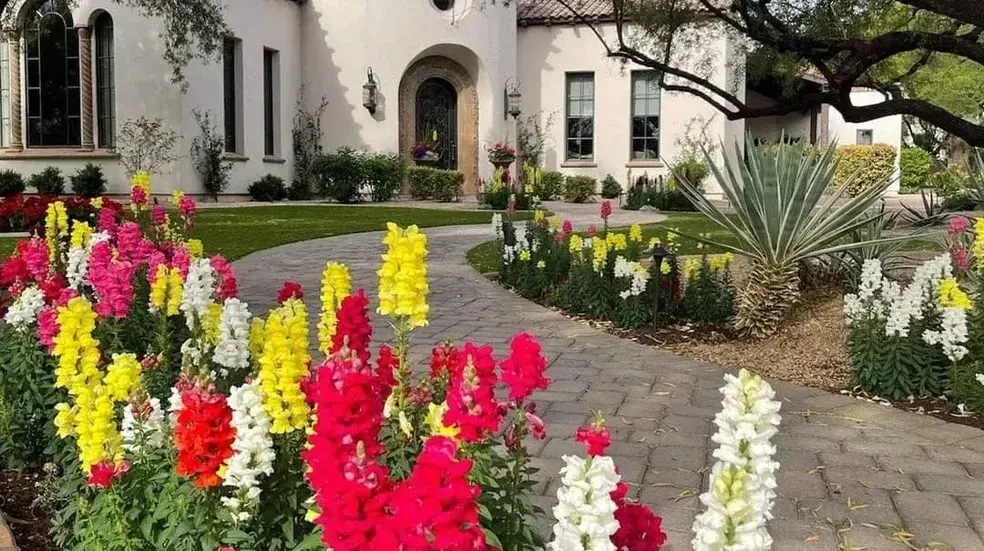 Floral path at Paradise Valley Retreat