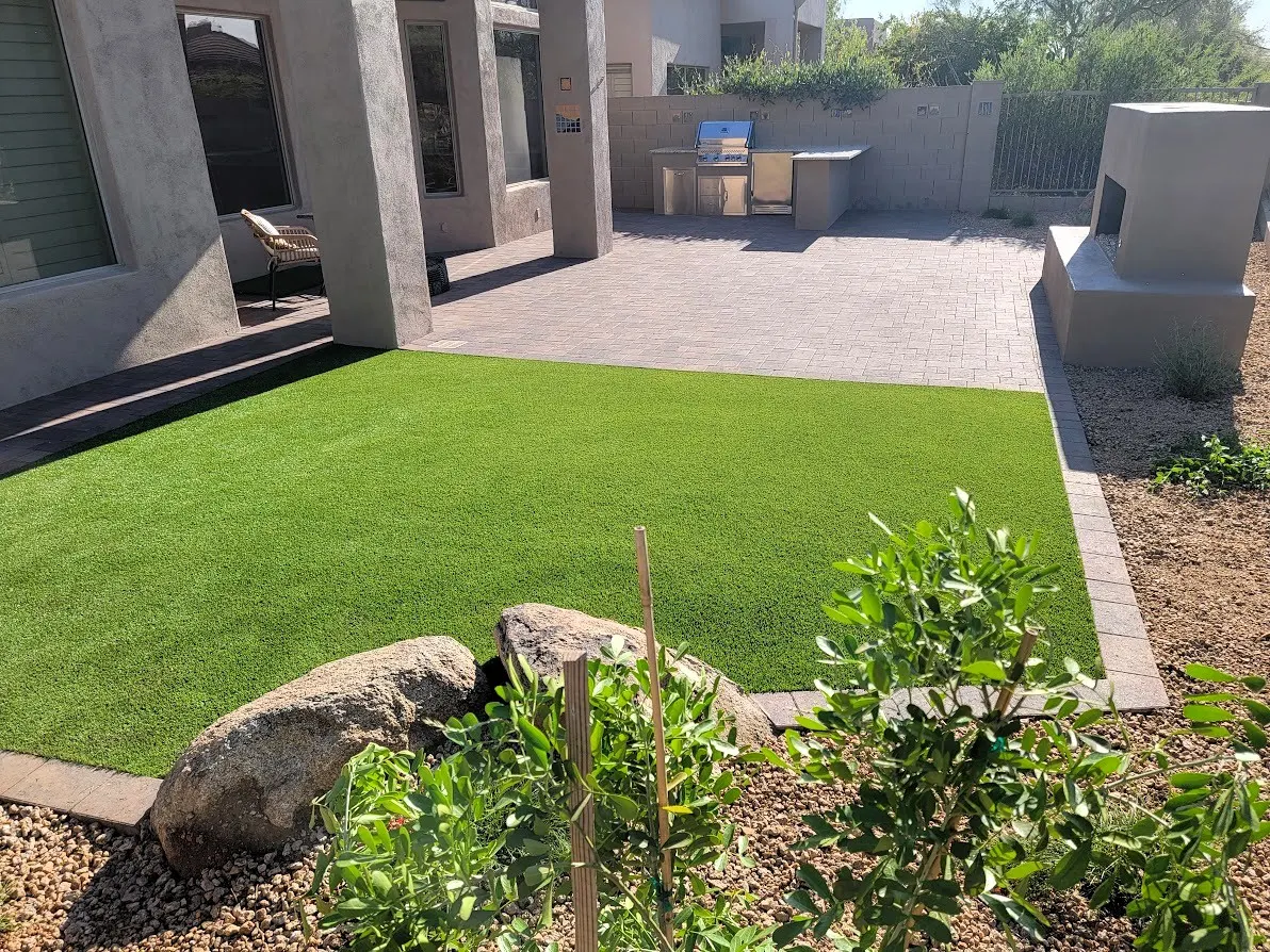 Terravita backyard by Leaf and Stone with artificial turf lawn bordered by paver walkways